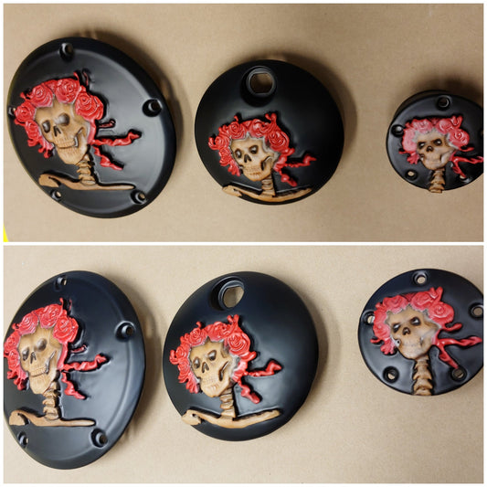 Grateful Dead Bertha derby cover, points and fuel door