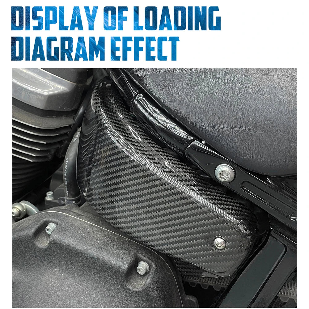 Motorcycle Carbon Fiber Battery Side Cover Frame Guard Panel Fairing Kit For Harley Softail 18-25 Low Rider ST Fat Boy Breakout