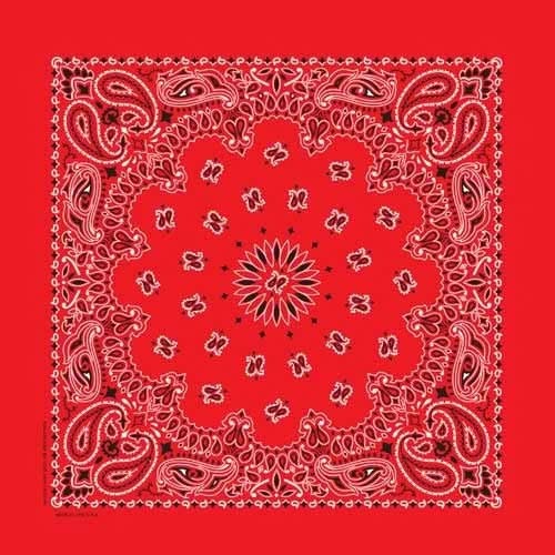 BD25 Bandana Paisley Red