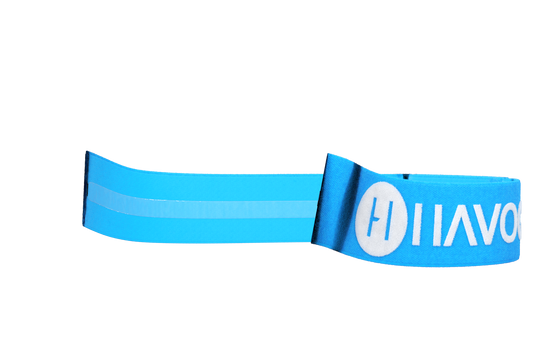Havoc Blue Goggle