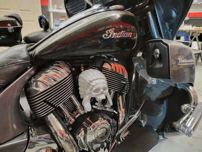 Indian skull warbonnet Horn cover