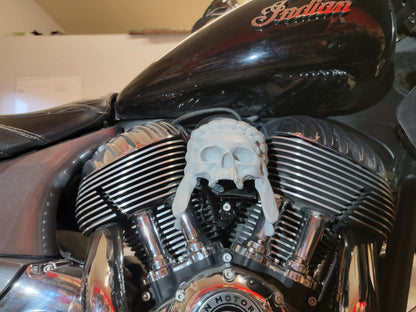 Indian skull warbonnet Horn cover