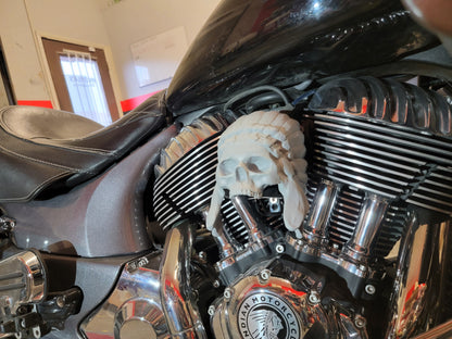 Indian skull warbonnet Horn cover