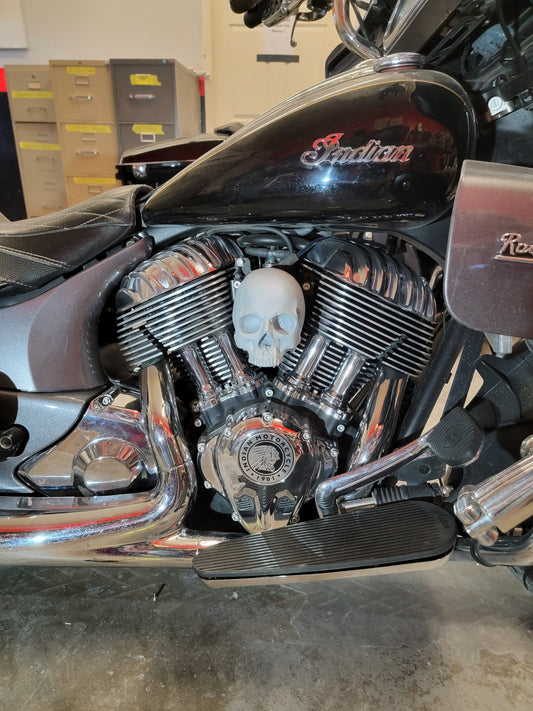 Ancient skull flag Horn cover