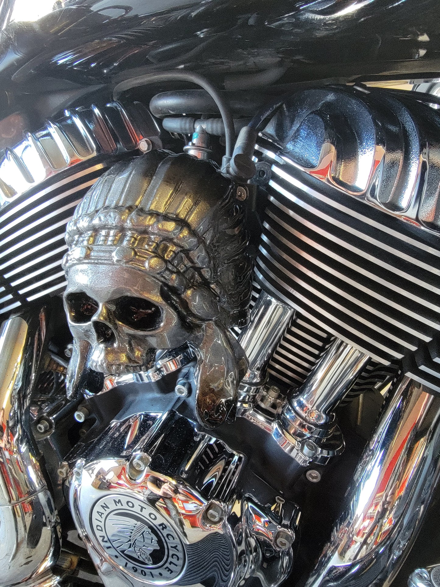 Indian skull warbonnet Horn cover