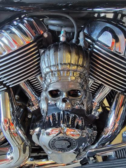 Indian skull warbonnet Horn cover