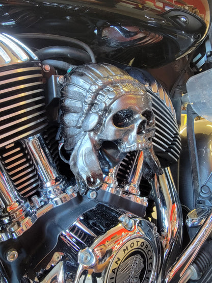 Indian skull warbonnet Horn cover
