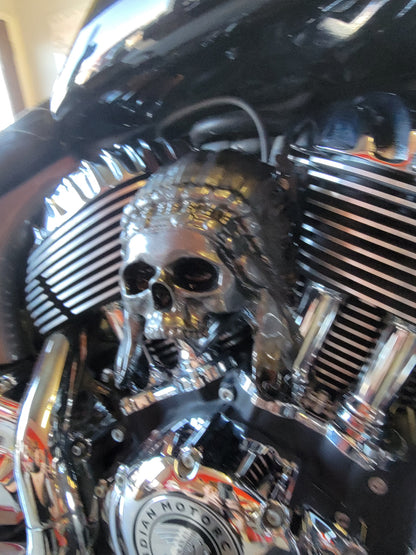 Indian skull warbonnet Horn cover