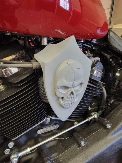 Skull Flag Coil Cover