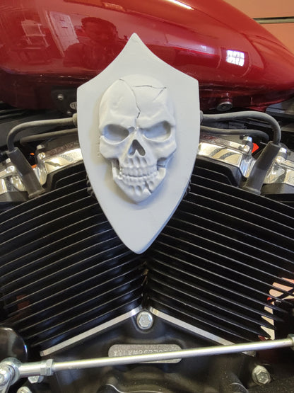 Skull Flag Coil Cover