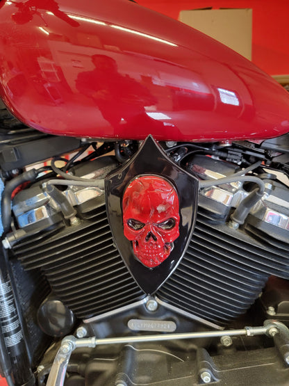 Skull Flag Coil Cover