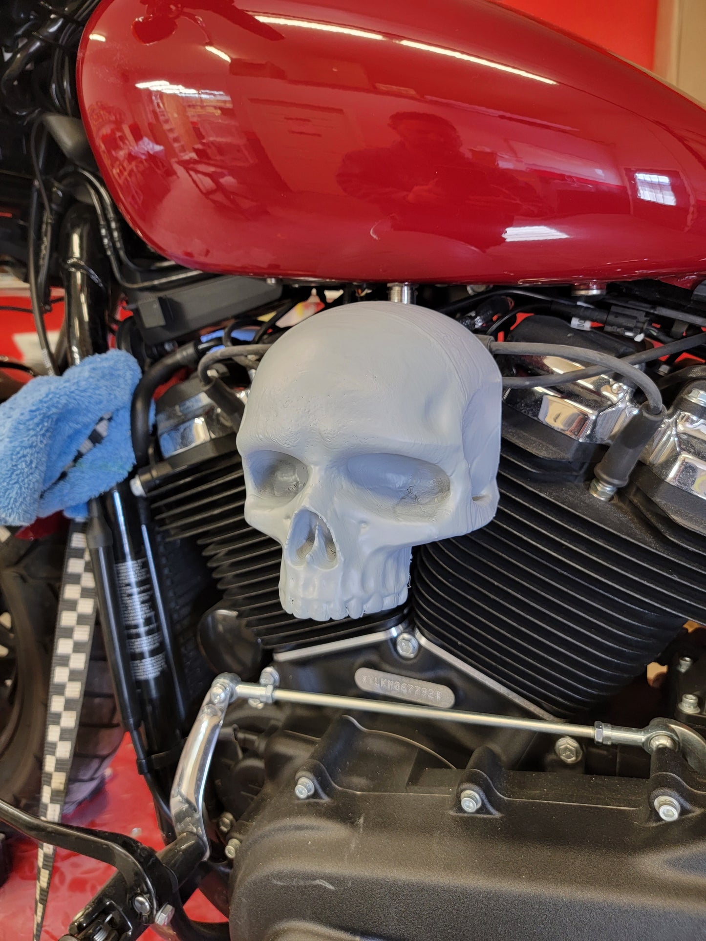 Ancient skull Coil Cover