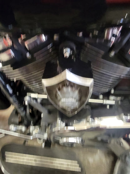 Side-mounted horn covers with skull warbonnet theme
