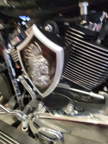 Side-mounted horn covers Native dream theme