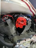 3D Twisted skull Victory "cheese wedge" replacement cover
