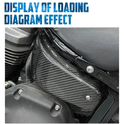 Motorcycle Carbon Fiber Battery Side Cover Frame Guard Panel Fairing Kit For Harley Softail 18-25 Low Rider ST Fat Boy Breakout