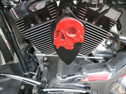 Indian twisted skull horn cover