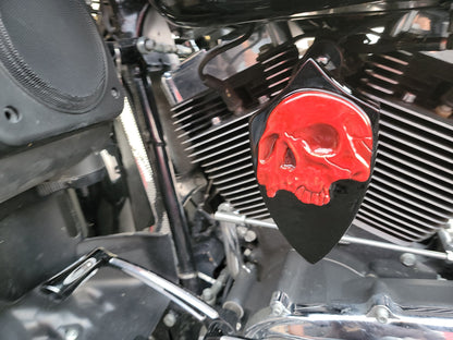 Indian twisted skull horn cover