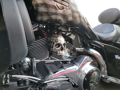 Ancient skull flag Horn cover