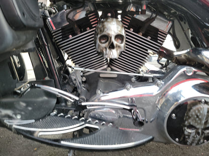 Ancient skull flag Horn cover