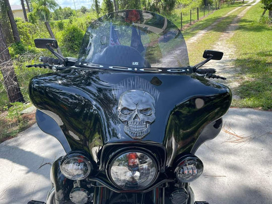 Skull fairing batwing