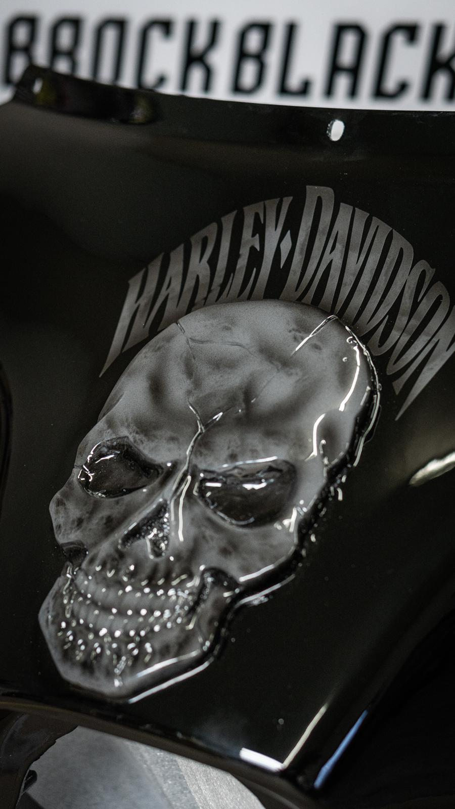 Skull fairing batwing