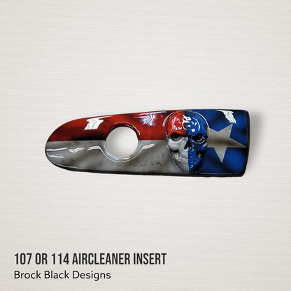 3D skull flag 107 or 114 air cleaner insert