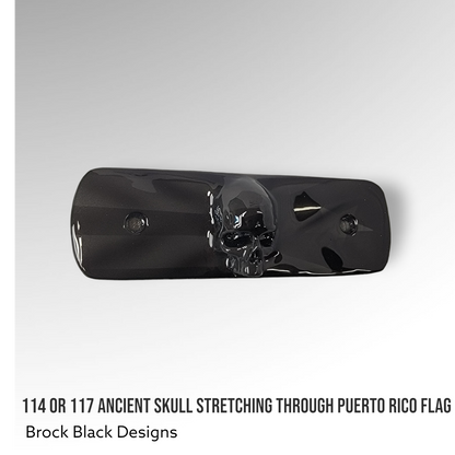 114 or 117 air cleaner insert 3D ancient skull Puerto Rico theme