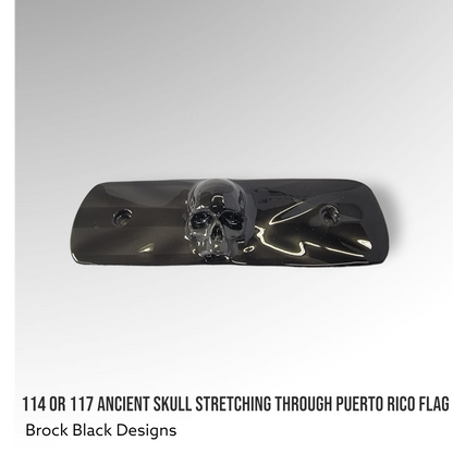 114 or 117 air cleaner insert 3D ancient skull Puerto Rico theme