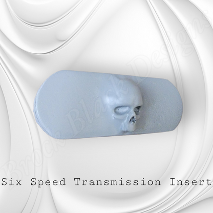Transmission insert 3D ancient skull