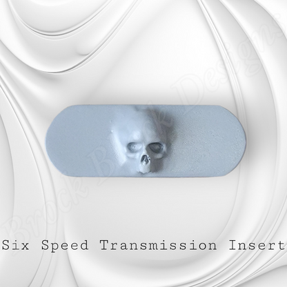 Transmission insert 3D ancient skull