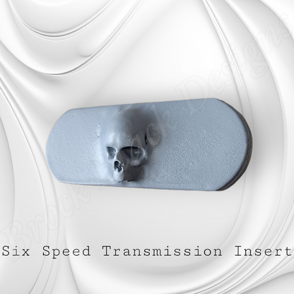 Transmission insert 3D ancient skull