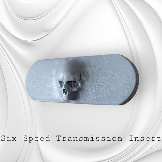 Transmission insert 3D ancient skull