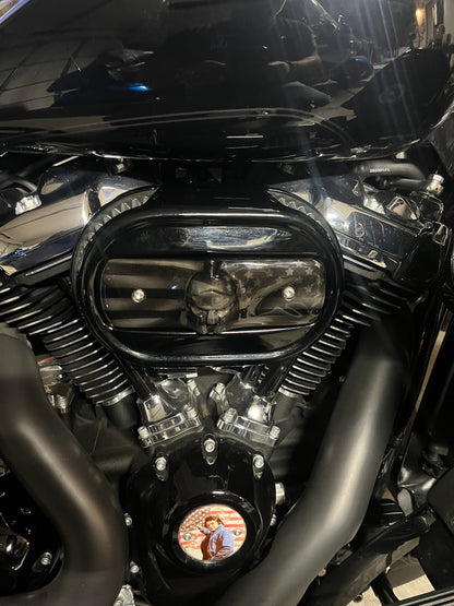 114 & 117 air cleaner insert 3D Spartan