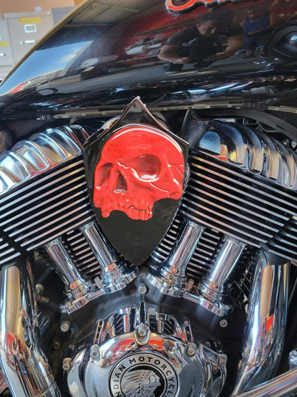 Indian twisted skull horn cover