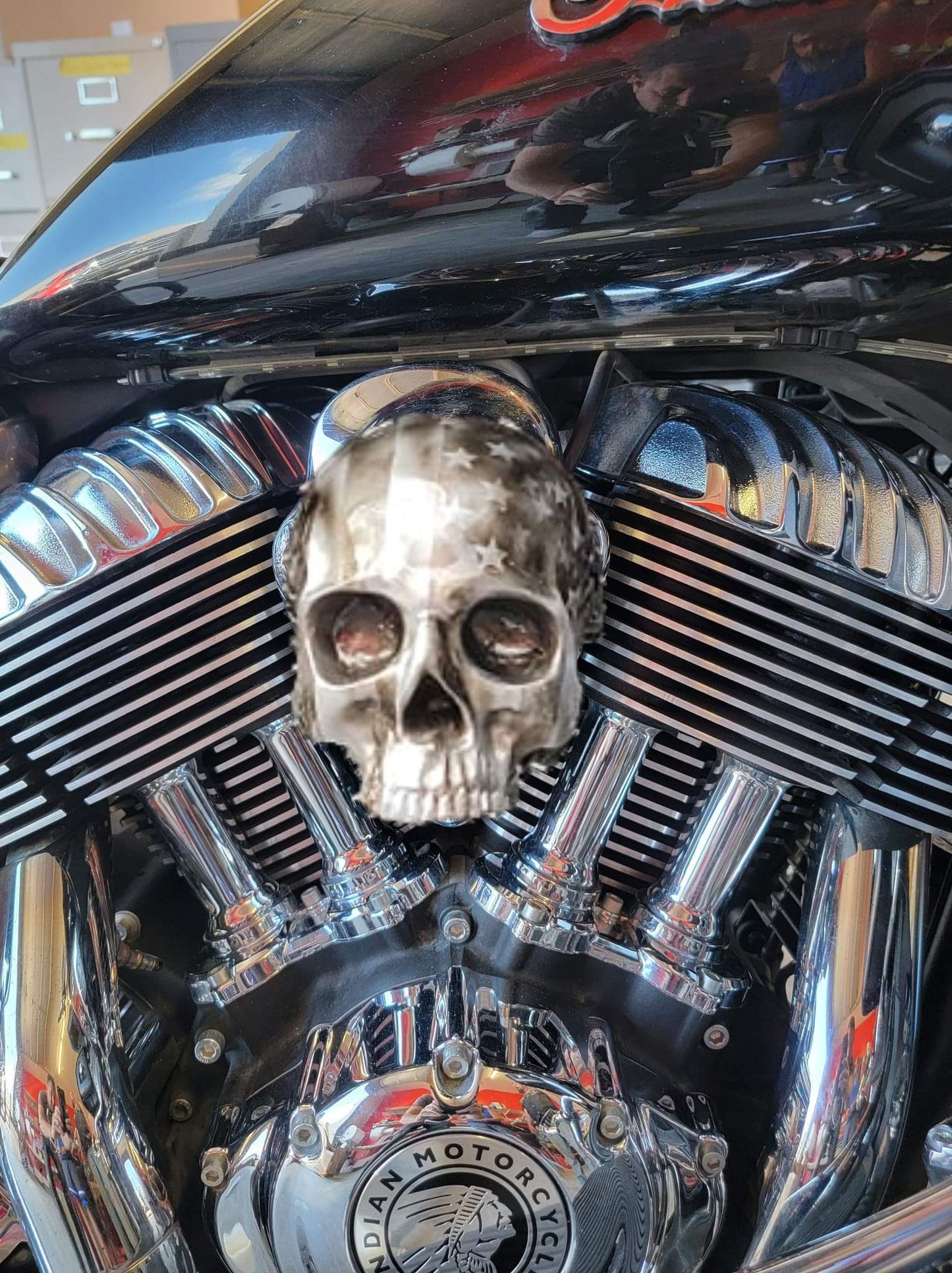 Ancient skull flag Horn cover