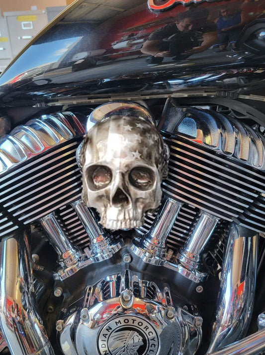 Ancient skull flag Horn cover